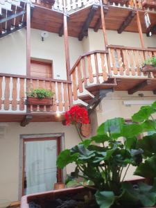 Appartamenti Vacanze e Camere Roccetta Fiorita