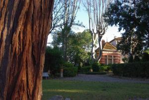 Appartements Gite de l'arbre perche a Langel : photos des chambres