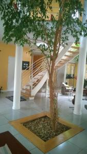 Villas Villa Gayac : photos des chambres
