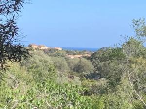 Beau T2 entre Santa Giulia et Palombaggia -