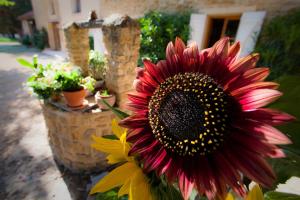 B&B / Chambres d'hotes La Ferme Du Midi : photos des chambres