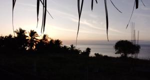 Homestead Farm PayagBahay Kubo