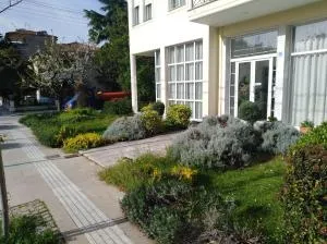 Olympia - 帕雷斯阿吉萨那