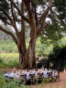 Karongwe - Chisomo Safari Camp