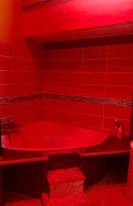 Appartements Duplex atypique 20’ de toulouse : photos des chambres