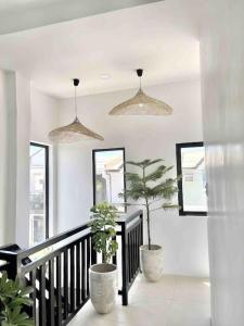 NEW Modern Suite near Beach & Airport