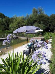 Villas Le sechoir a tabac et sa piscine Les temps des sources : photos des chambres