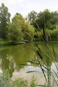 Villas Le sechoir a tabac et sa piscine Les temps des sources : photos des chambres