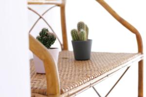 Casa Branca Cantabria