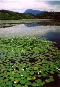 Blar na Leisg, Self catering Lodge 2.