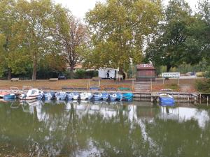 Appartements Un trois etoile entre La Rochelle et les marais poitevin : photos des chambres