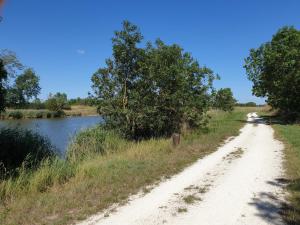 Appartements Un trois etoile entre La Rochelle et les marais poitevin : photos des chambres