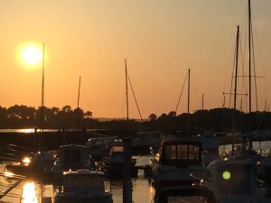 Campings Le charme du Bassin d Arcachon en Mobil Home climatise : photos des chambres