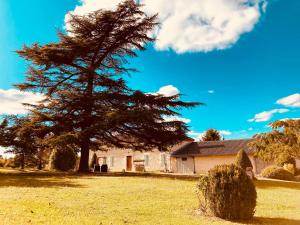 Maisons de vacances L'Adeenne : photos des chambres