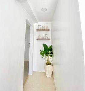 NEW Modern Suite near Airport & Beach