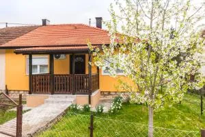 Apartman OLGA - ميترفاتس