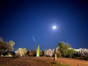 Agriturismo Torre del Cardo