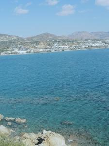 Makry Gialos Grapevines Villa 11 - Makry Gialos