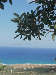 Makry Gialos Grapevines Villa 11 - Makry Gialos