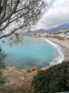 Makry Gialos Grapevines Villa 11 - Makry Gialos