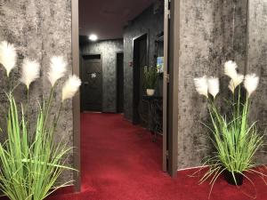 Hotels L'EMBLEME - BOUTIQUE HOTEL : photos des chambres