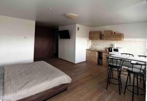 Studio Apartment with Lake View