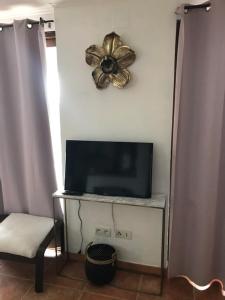 Appartements Studio de 39 m2 : photos des chambres