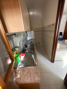 Appartamento ALICE (CISANELLO-PISA)