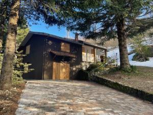 Chalet Leonard House in the wood