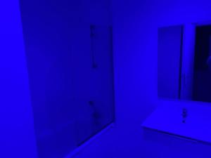 Appartements Appartement 2eme etage 42m2 hyper centre ville / parking gratuit : photos des chambres