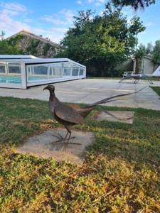 Gîte 2-4 couchages situé dans un magnifique jardin