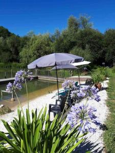 Chalets La cabane sur le lac aux Temps des Sources : photos des chambres