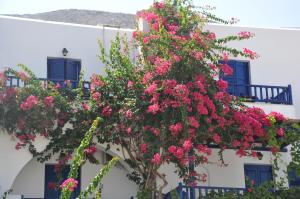 Nostos Studios Amorgos Greece