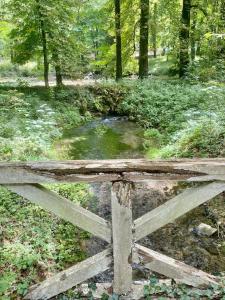 Villas Chateau historique XVIIIe Parc 4ha Riviere : photos des chambres