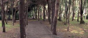 Casa vacanze Marinella