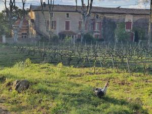 Appartements Gite de l'arbre perche a Langel : photos des chambres