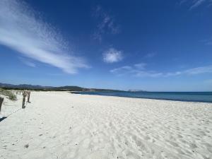 La PAVONCELLA sul MARE img29