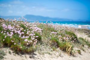 Marina Bay - Castelsardo img29