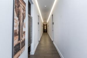 Vive Zen Master Suite for 4 Guests