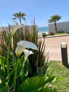 La Jolla Excellence, Exclusive Front Beach!