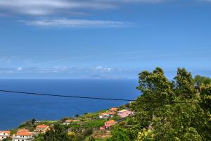 Os Ferreirinhos, a Home in Madeira