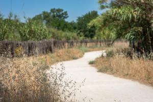 Soko Hotels-Pont du Gard : photos des chambres