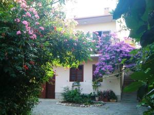 Apartment in villa, private pool, big garden, close to sea and Old Zadar town