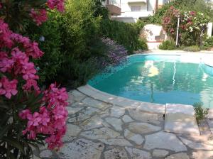 Apartment in villa, private pool, big garden, close to sea and Old Zadar town