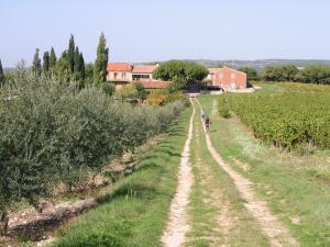 Maisons de vacances Le Petit Champ : photos des chambres