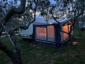 Cottage in the olive grove