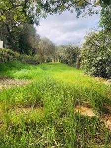 the charm of a holiday home