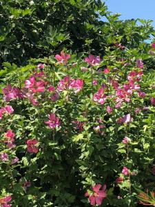 the charm of a holiday home