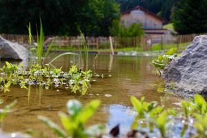 Gähwindehof Mountain Ranch Resort