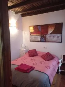 Casa rural Adelaida - 米兰达德尔卡斯塔尼亚尔